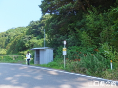 トトロのバス停