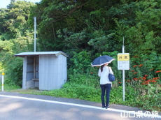 トトロのバス停に旅相棒