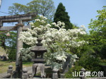 鶴ヶ嶺八幡宮