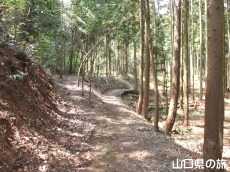 佐々木小次郎の墓へと続く道