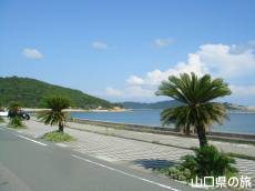 ���Z���l