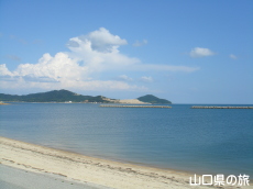 ���Z���l