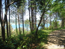 ���R�V����