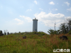 ���R�̓���