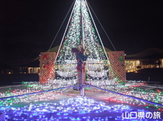 �����X�|�[�c�𗬌����C���~�l�[�V����