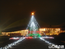 �����X�|�[�c�𗬌����C���~�l�[�V����