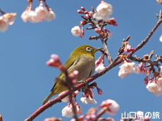 �������ƃ��W��