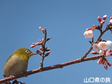 �������ƃ��W��