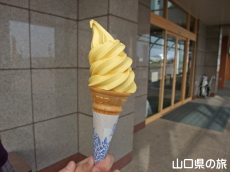 かぼちゃソフト