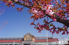 ���̉w����炠�����̔�����