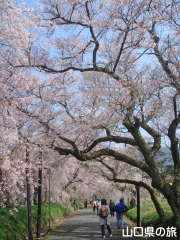 ���������{�̂������