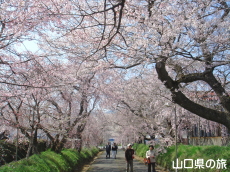 ���������{�̂������