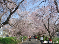 ���������{�̂������