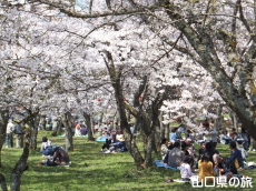 ���������{�̂������