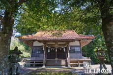 �_�p�����{