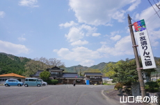 �F����񂲉�