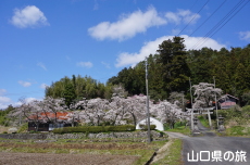 �ÔN�����{�̍�