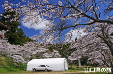 �ÔN�����{�̍�