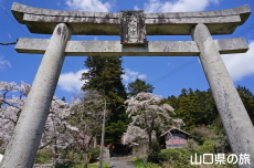 �ÔN�����{�̍�