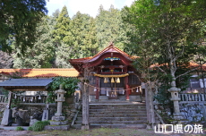 �ÔN�����{