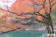 ���勬�̍g�t