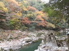 ���勬�̍g�t