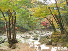 ���勬�̍g�t