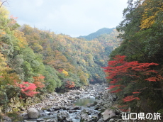 ���勬�̍g�t