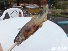 ���̉��Ă�