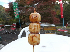 ���{����