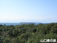 展望台から見た椿群生林と日本海