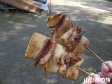 CJĂ