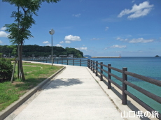 美萩海浜公園の遊歩道
