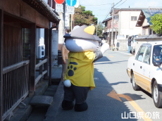 hCo[ɎU锋ɂB