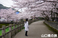 松陰神社の桜と旅相棒
