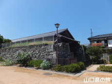 ˌDq
