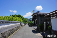 Wan