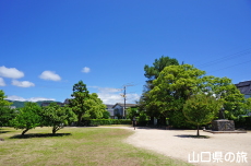 WL