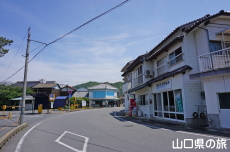 zl