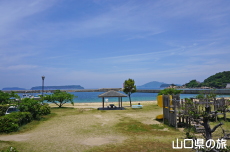 ŋ`Ǒ
