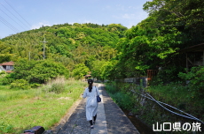 阿字雄の滝
