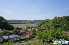 萩市大井