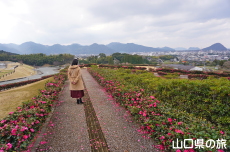 ���|�̑������̃J���c�o�L���[�h