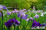 �w������