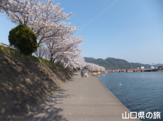 {쉈̍