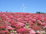 菅無田公園