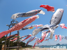 虹の鯉のぼりプロジェクト