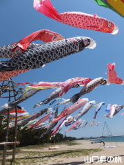虹の鯉のぼりプロジェクト