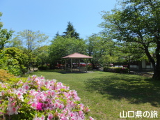西河原緑地公園のつつじ