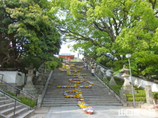 �h�{�V���{ ��Βi��L